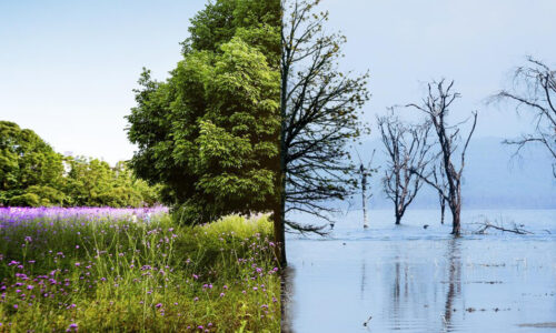 Climate Change Reporting Training For Journalists